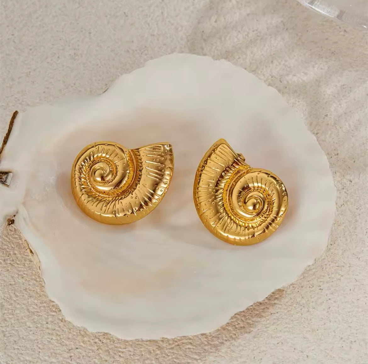 Seashell Earrings